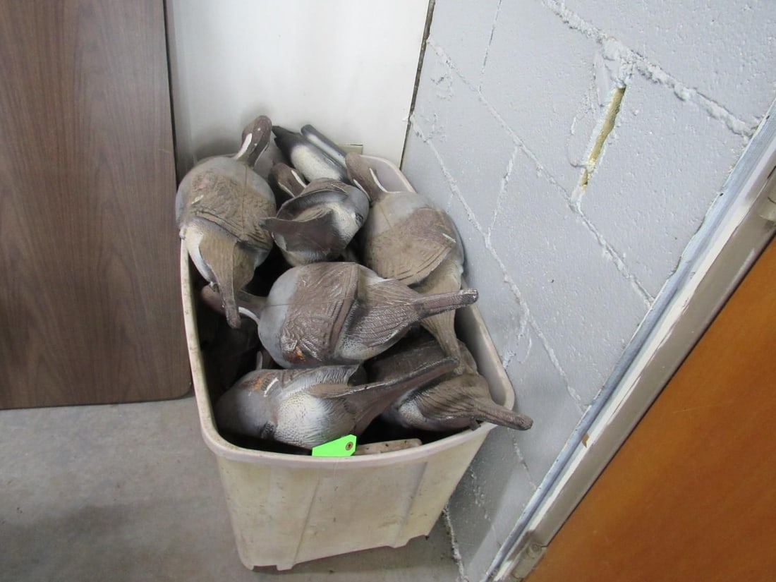 (37) Assorted Duck Decoys - 3
