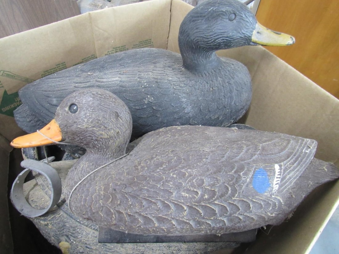 (37) Assorted Duck Decoys - 5