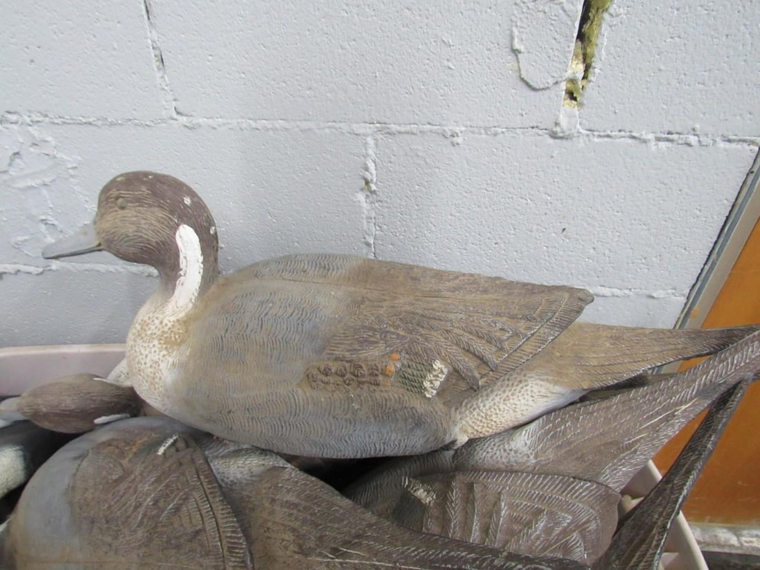 (37) Assorted Duck Decoys - 6