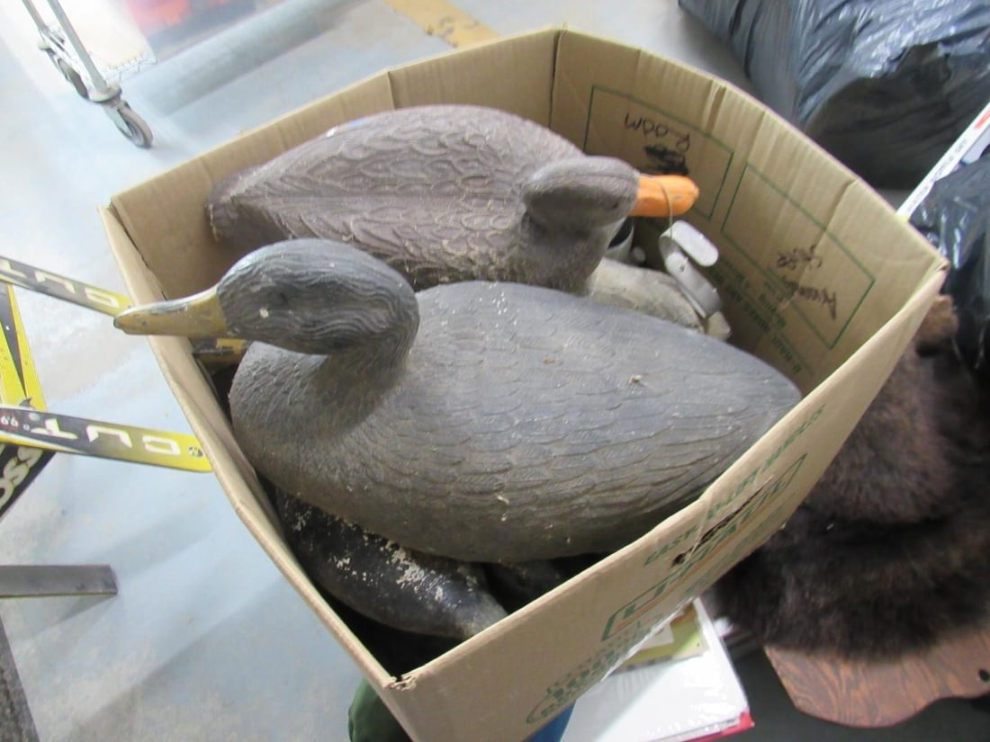 (37) Assorted Duck Decoys - 8