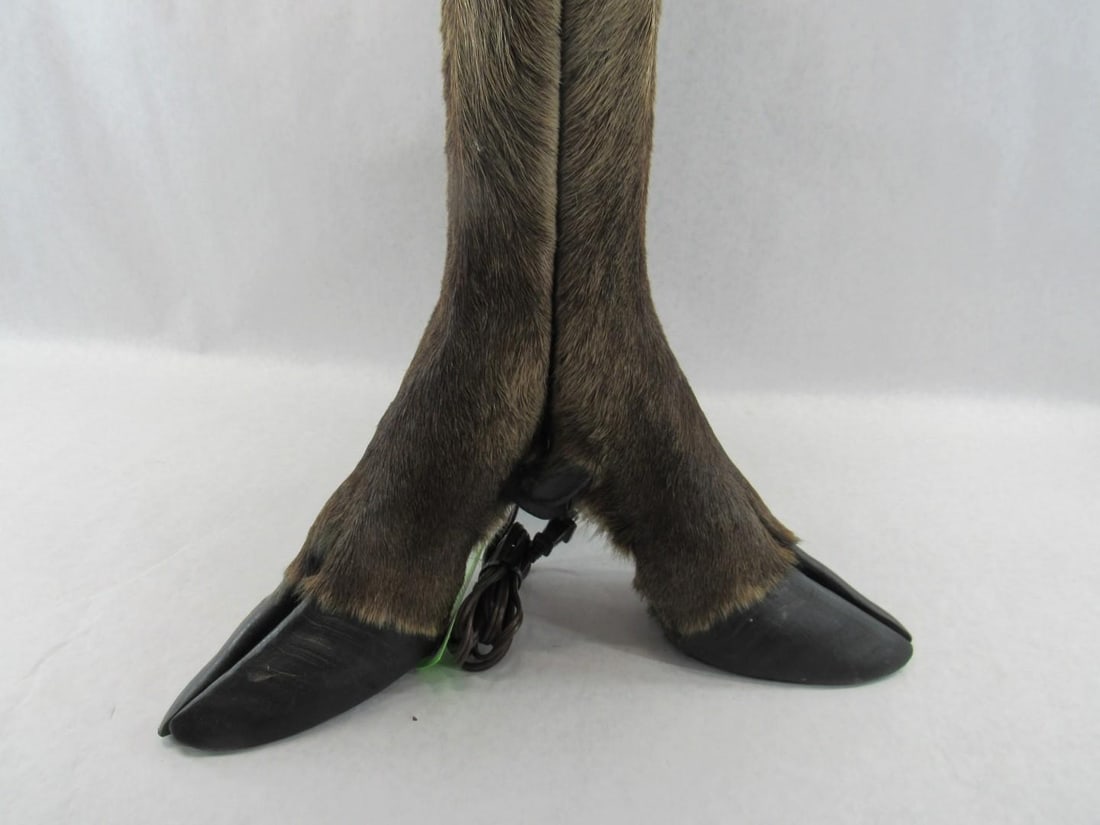 Elk Foot Table Lamp - 4