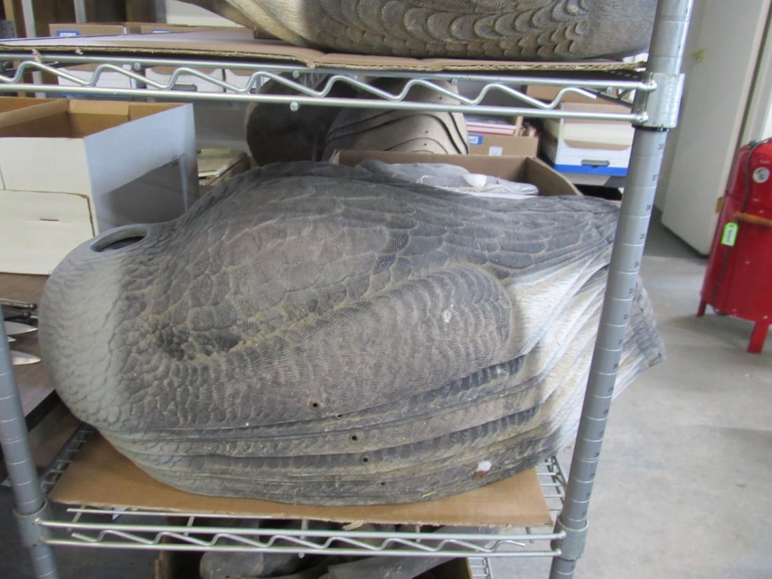 (43) Canada Goose Field Decoys - 2