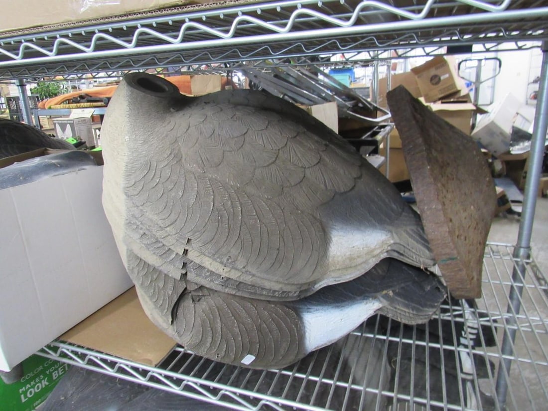 (43) Canada Goose Field Decoys - 5