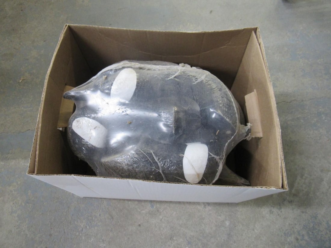 (43) Canada Goose Field Decoys - 6