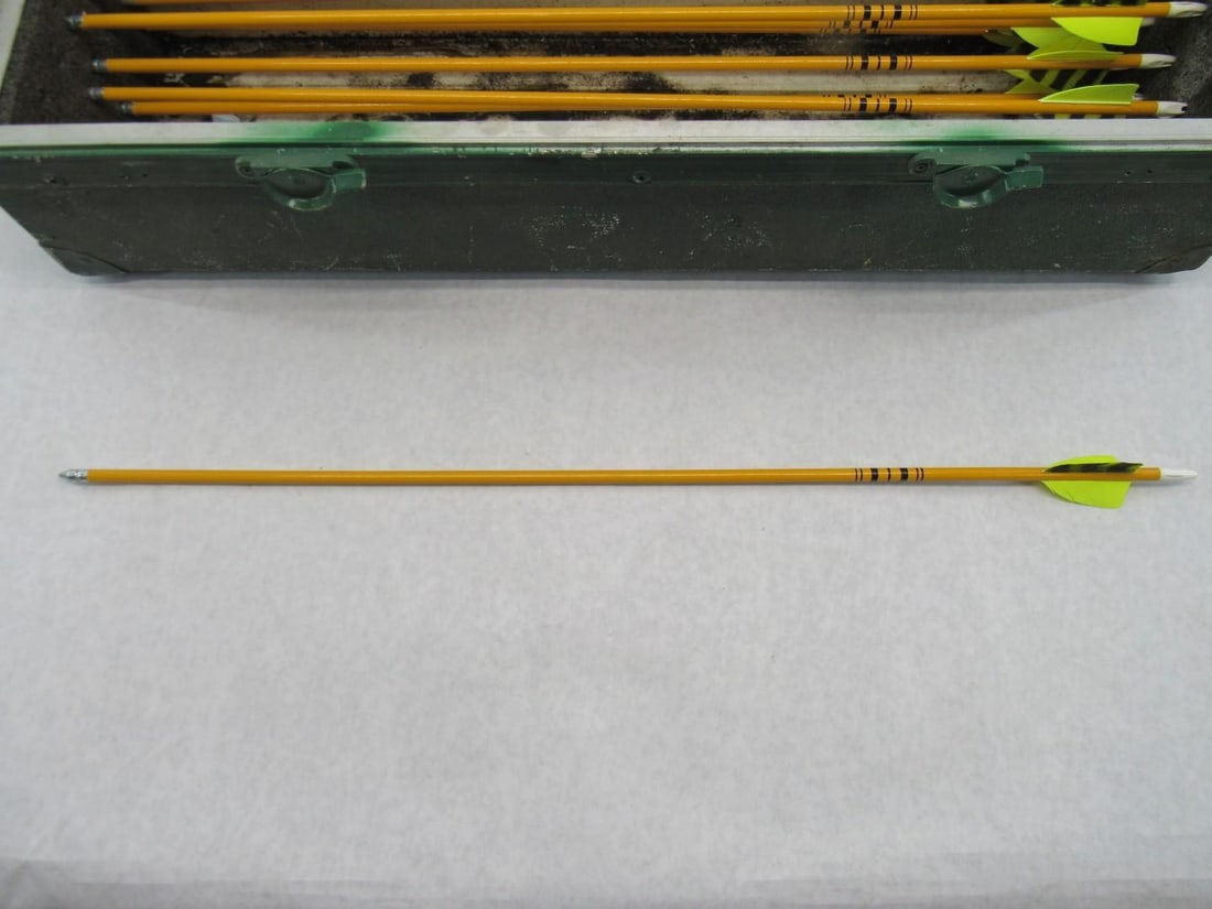 (12) Vintage Fiberglass Arrows in a Case - 5