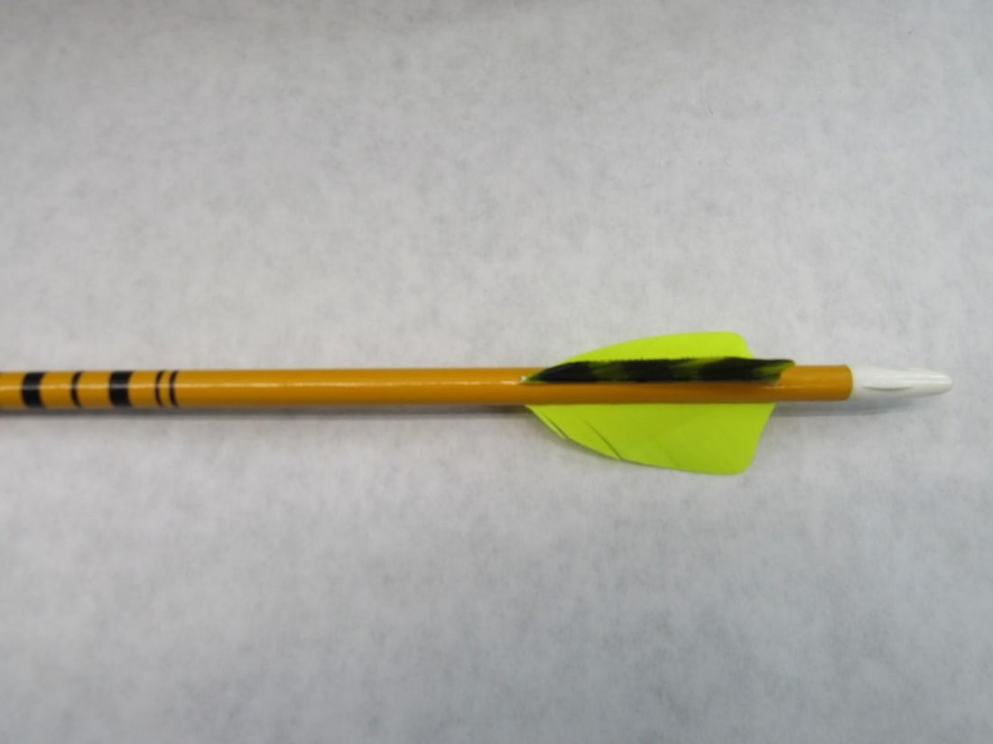 (12) Vintage Fiberglass Arrows in a Case - 6