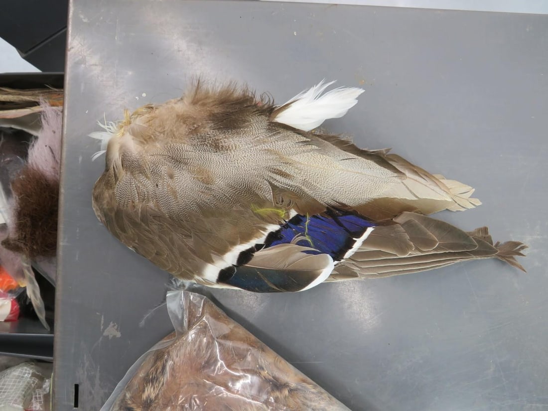 (5) 2 Steel Drawer Cabinets of Fly Tying Supplies and Equipment - 18