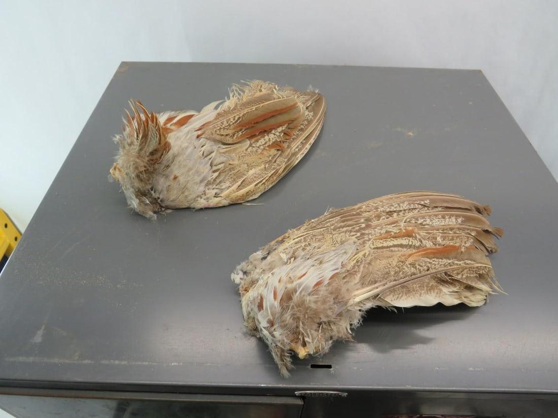 (5) 2 Steel Drawer Cabinets of Fly Tying Supplies and Equipment - 9