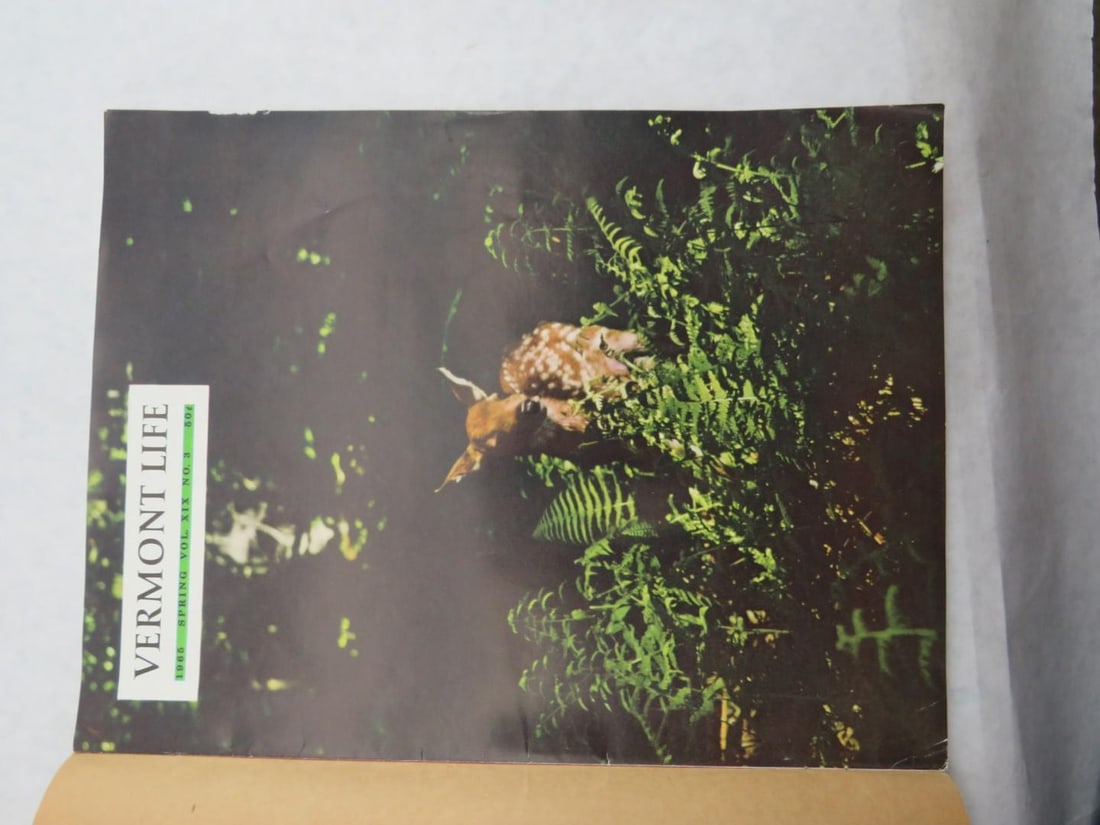 (41) Vermont Life Magazines - 7
