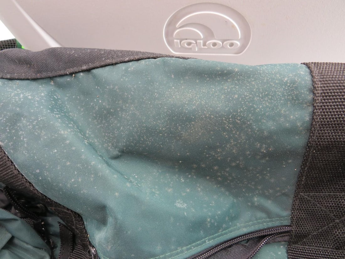 Igloo Cooler & Canvas Tote Bag - 12