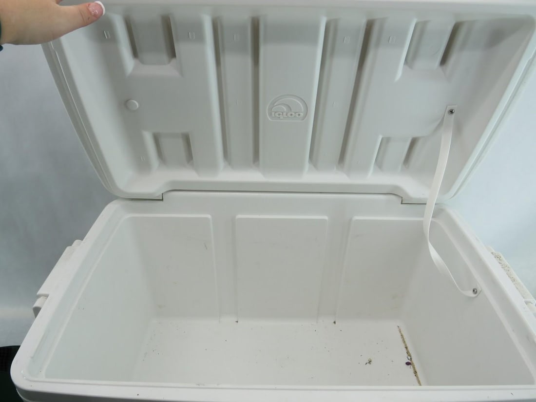 Igloo Cooler & Canvas Tote Bag - 17