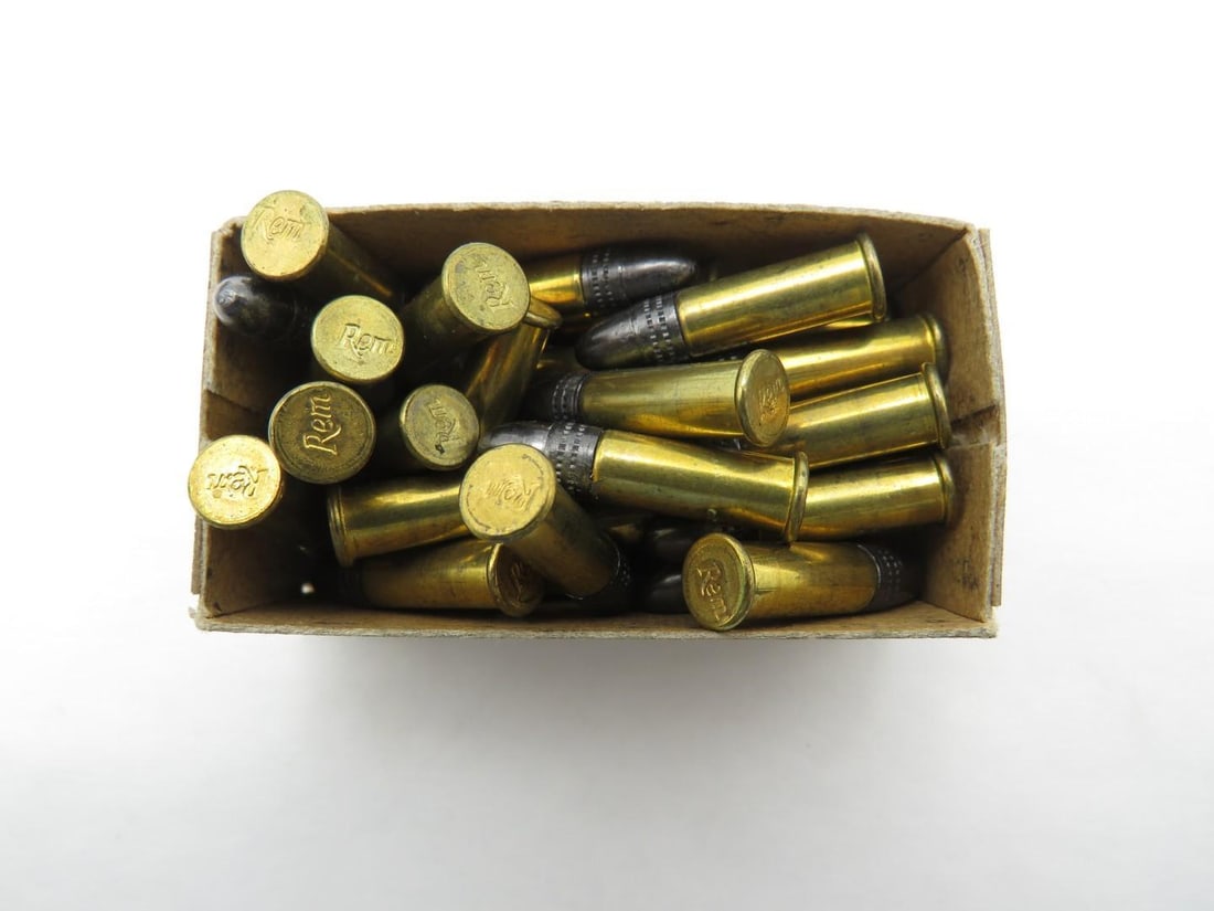 (1000) .22 Cartridges - 4