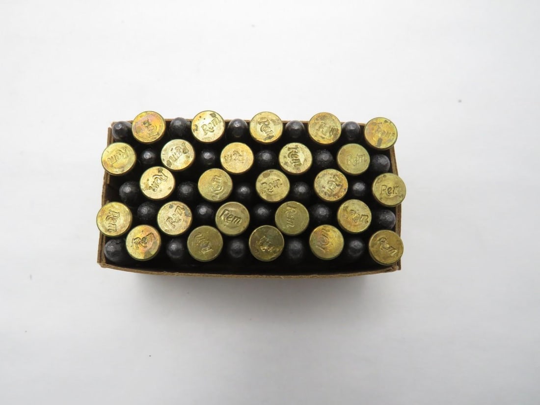 (1000) .22 Cartridges - 4