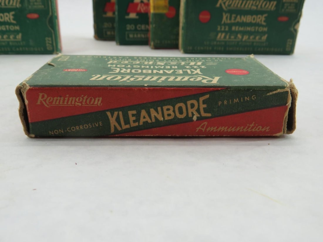 (125+/-) Remington .223 Cartridges & (172+/-) Brass Casings - 4