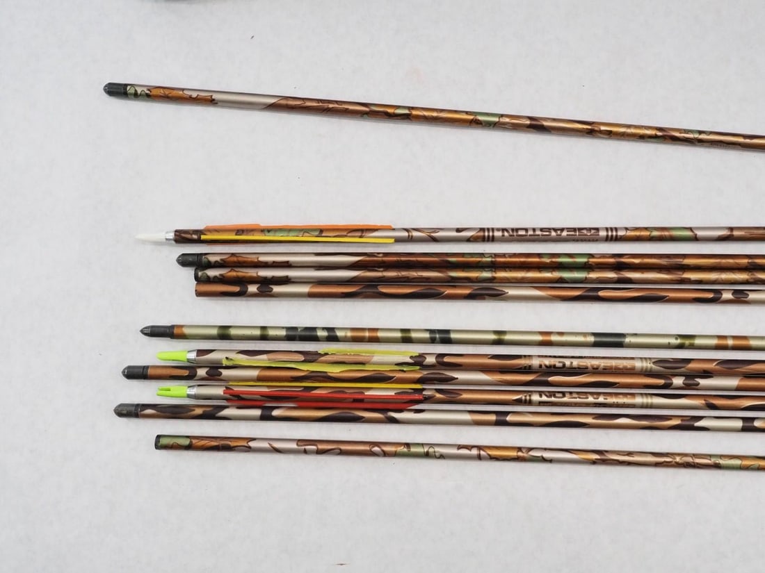 Hoyt Carbinite XL Compound Bow w/ Bag - 4