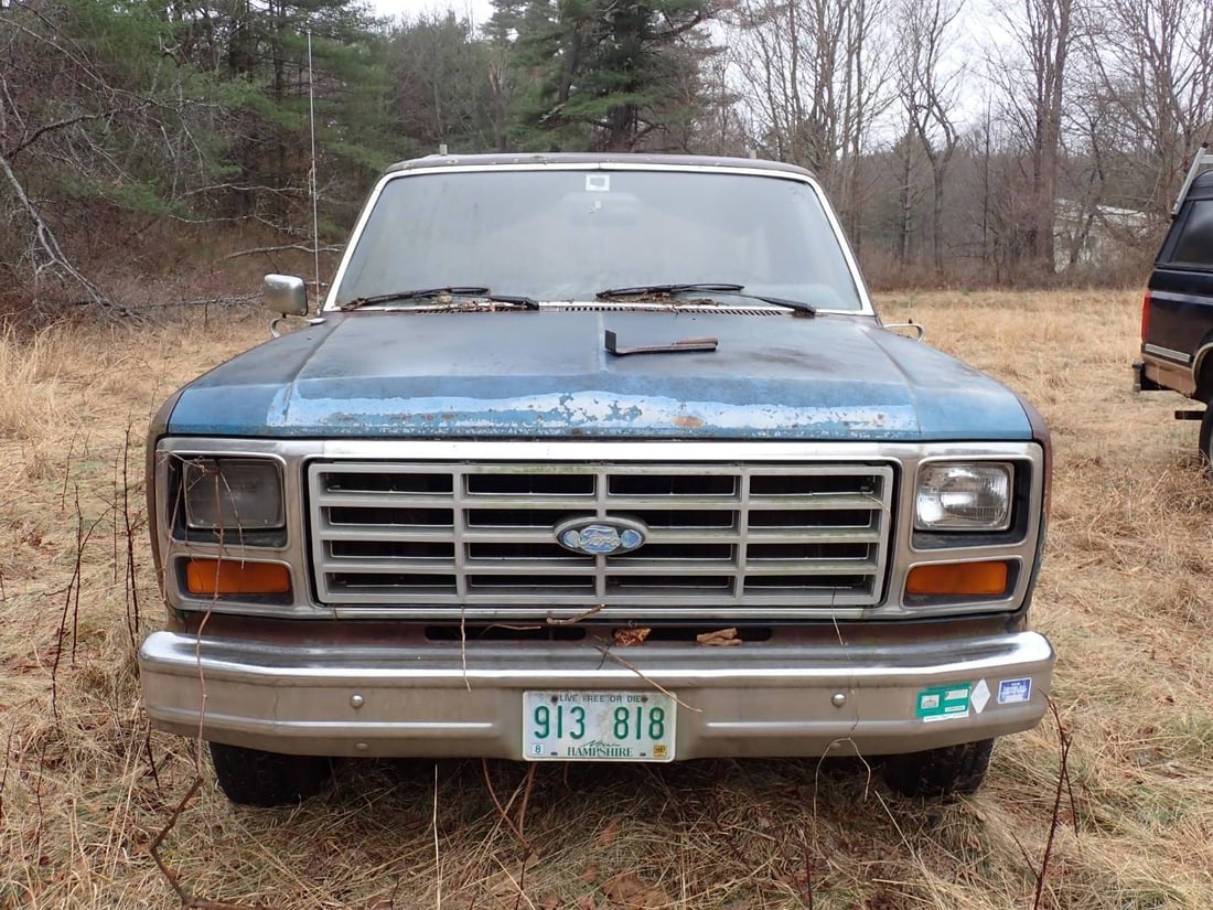 (2) Ford F150 - 3