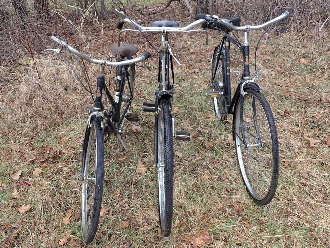 (3) Roughly Bikes - 10