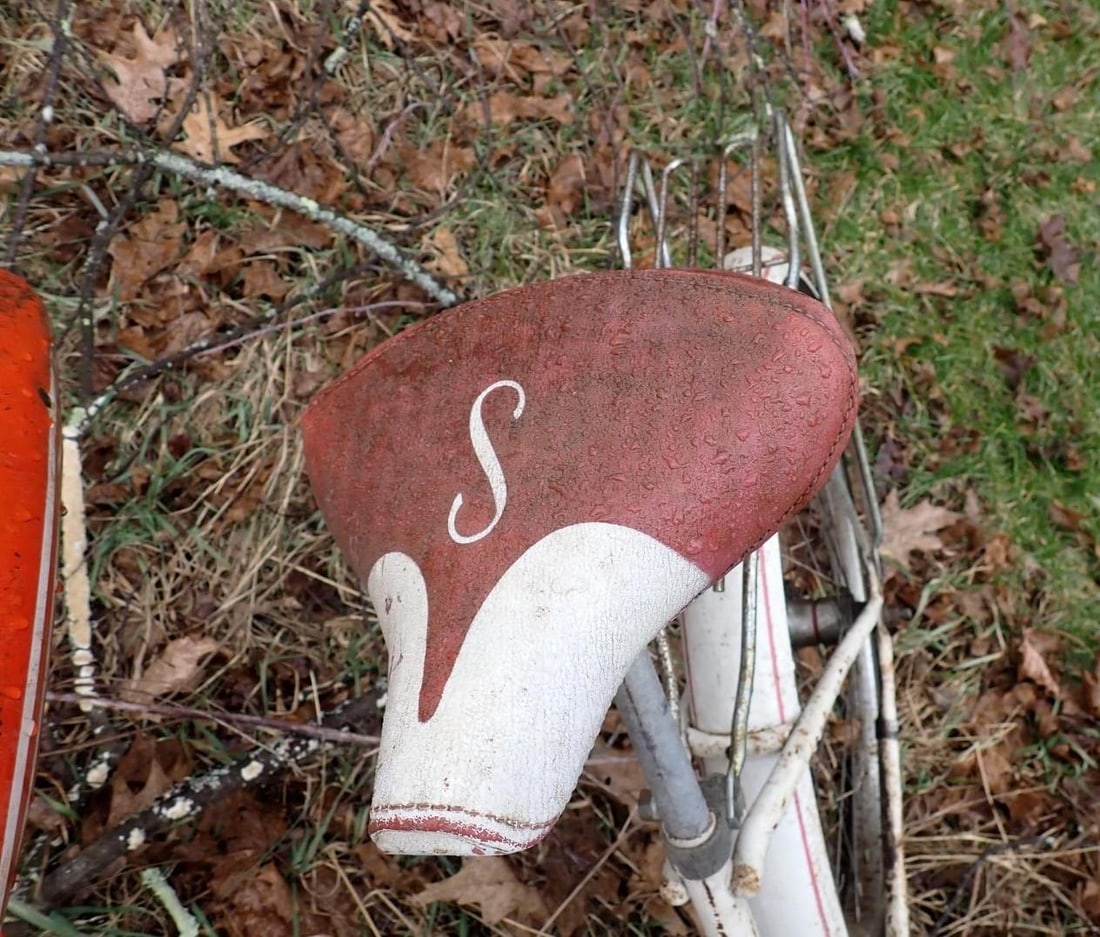 (2) Cruiser Bikes - 10