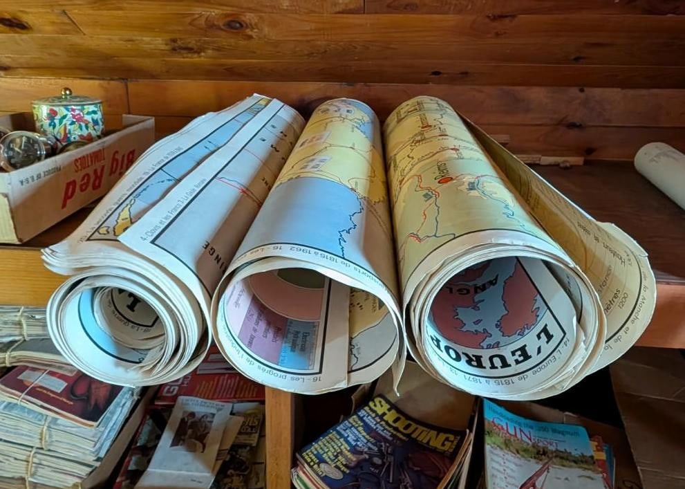 (12+/-) Vintage French World Maps - 4