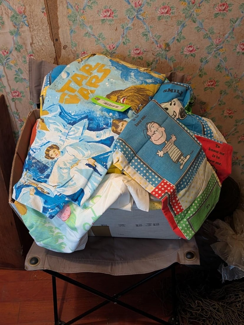 Vintage Charlie Brown & Star Wars Sheets (1 of 4)