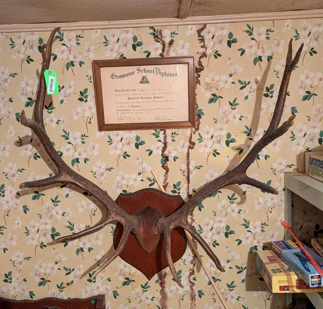 Elk or Caribou Wall Mount Rack - 2