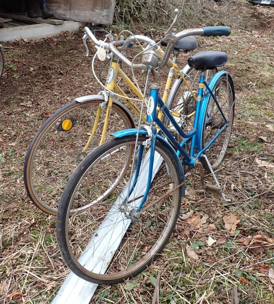 Schwinn & Vista Women's Bicycle (1 of 5)