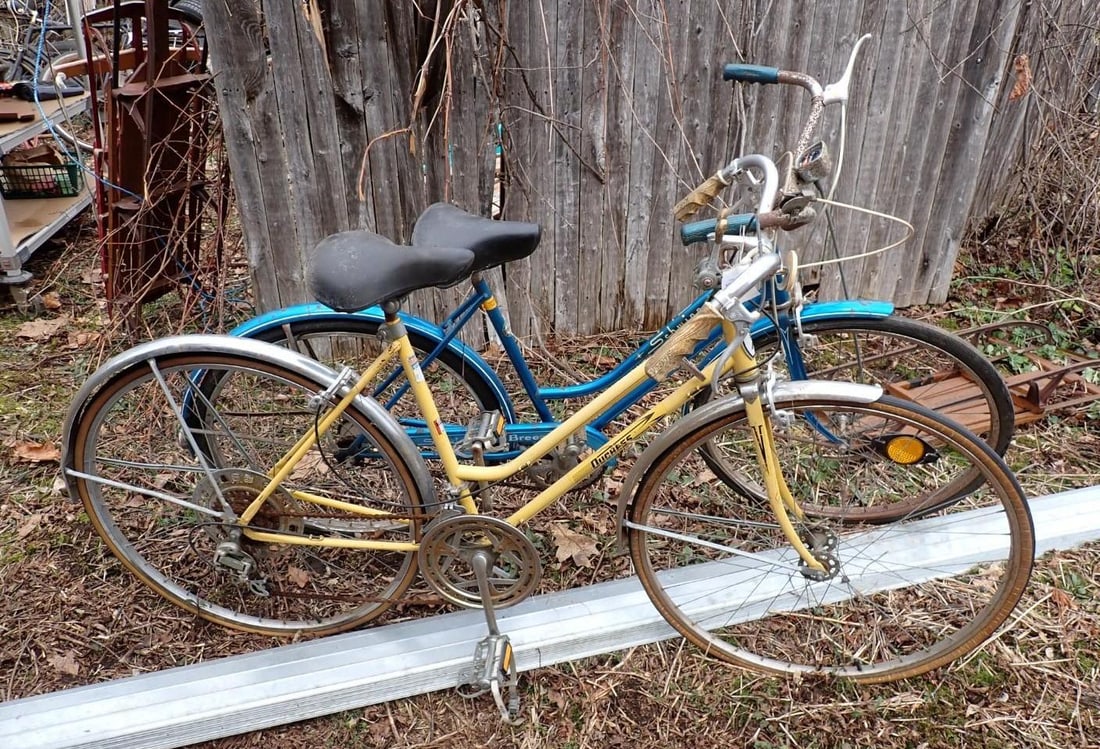 Schwinn & Vista Women's Bicycle - 4