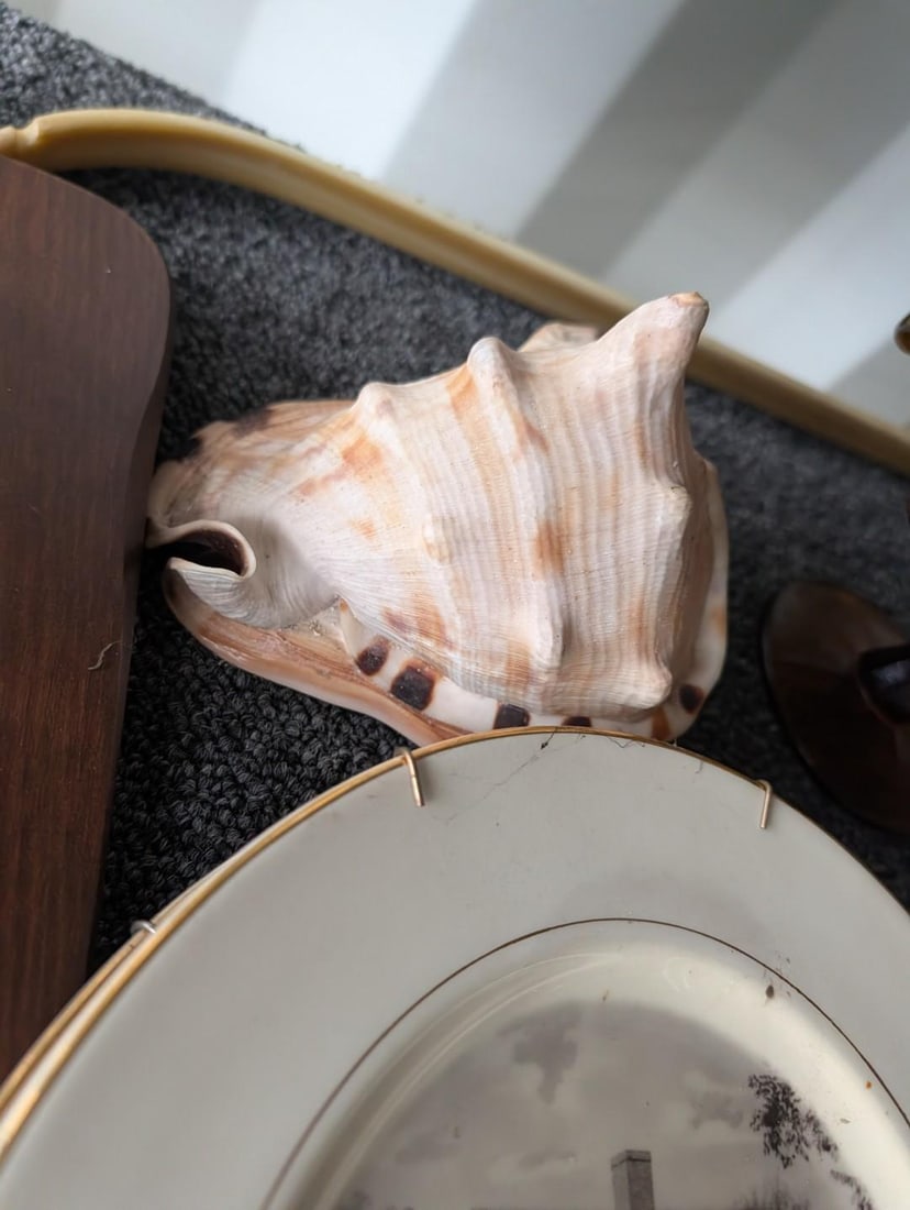 Asst. Decoratives - 6