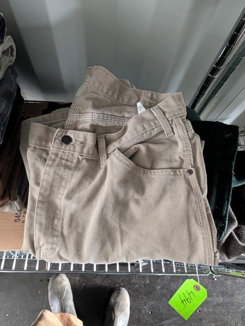 (10) Carhartt Work Pants - 2