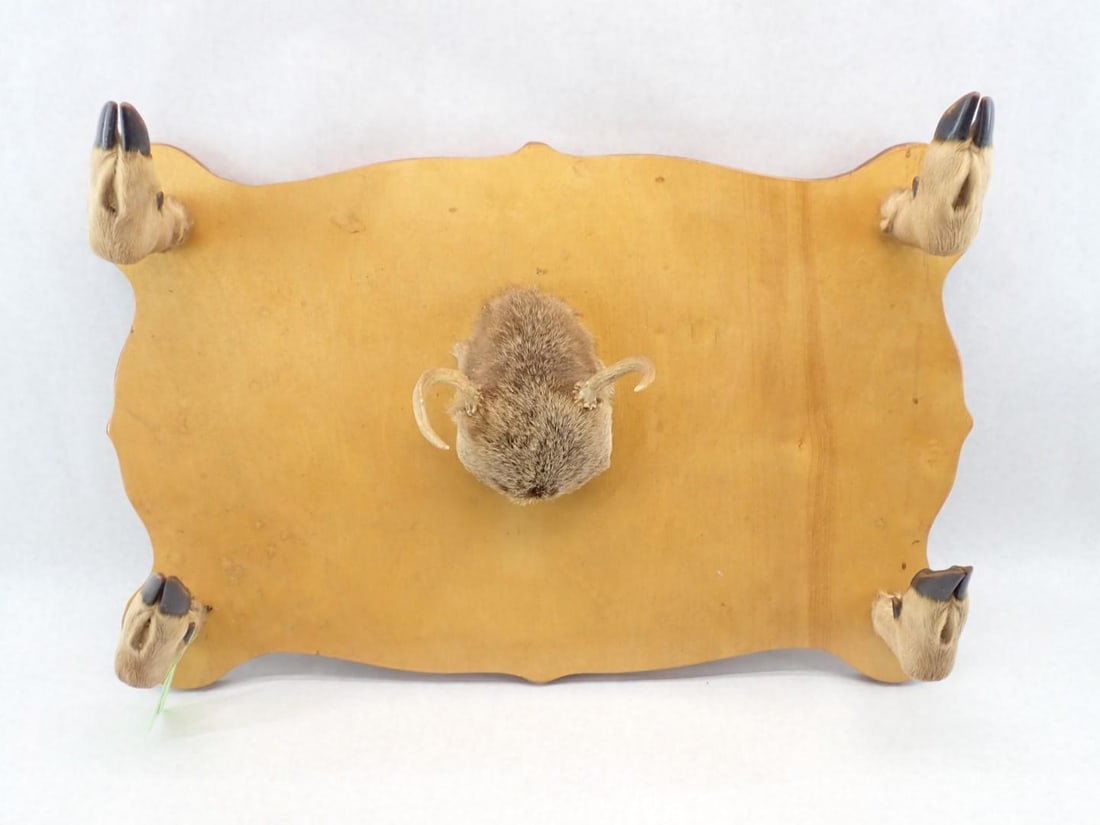 2-Place Rifle Rack Made of Deer Legs & Spike Horn Centerpiece - 7