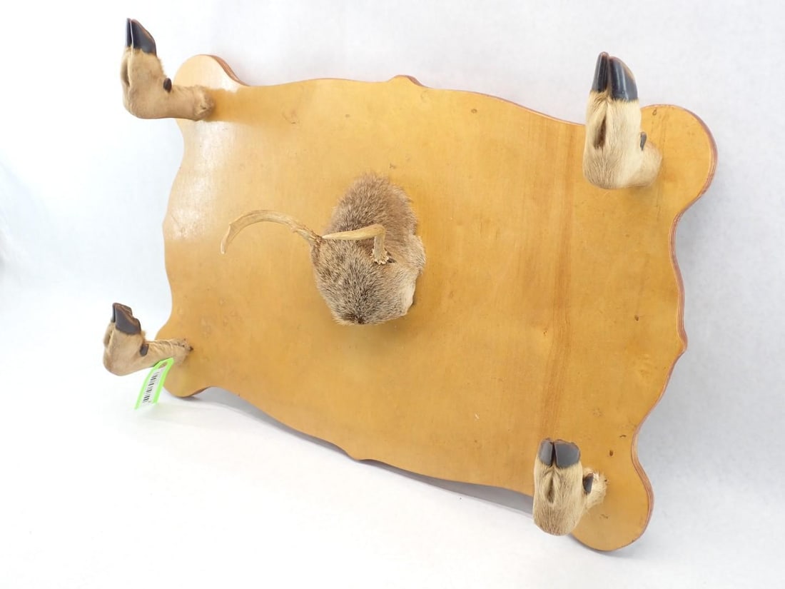 2-Place Rifle Rack Made of Deer Legs & Spike Horn Centerpiece - 8