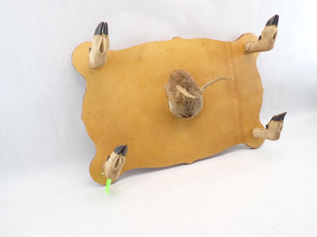 2-Place Rifle Rack Made of Deer Legs & Spike Horn Centerpiece - 9
