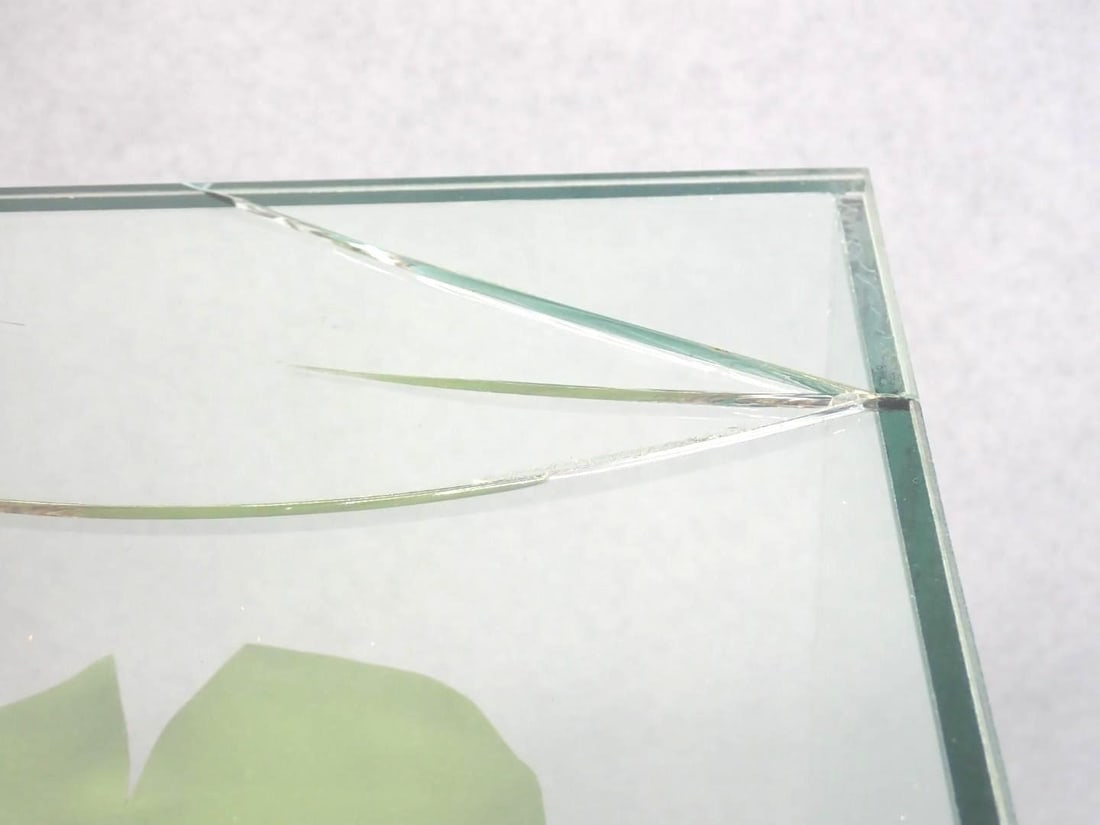 Great Fresh Water Bass Mount in Glass Case - 7