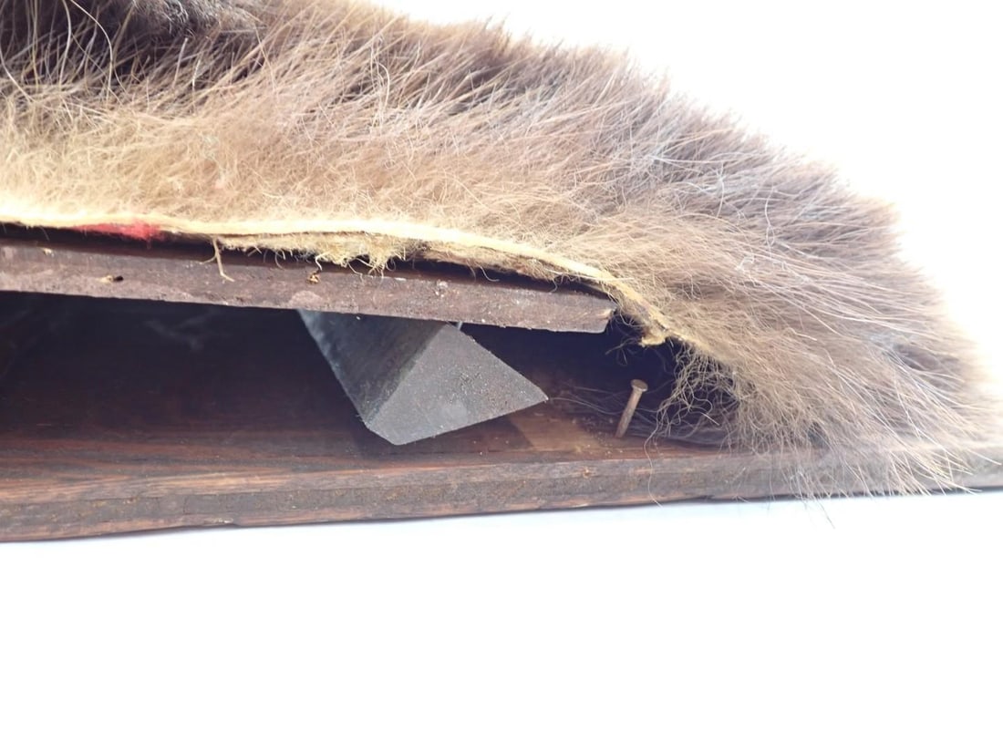 Bear Head Mount - 8