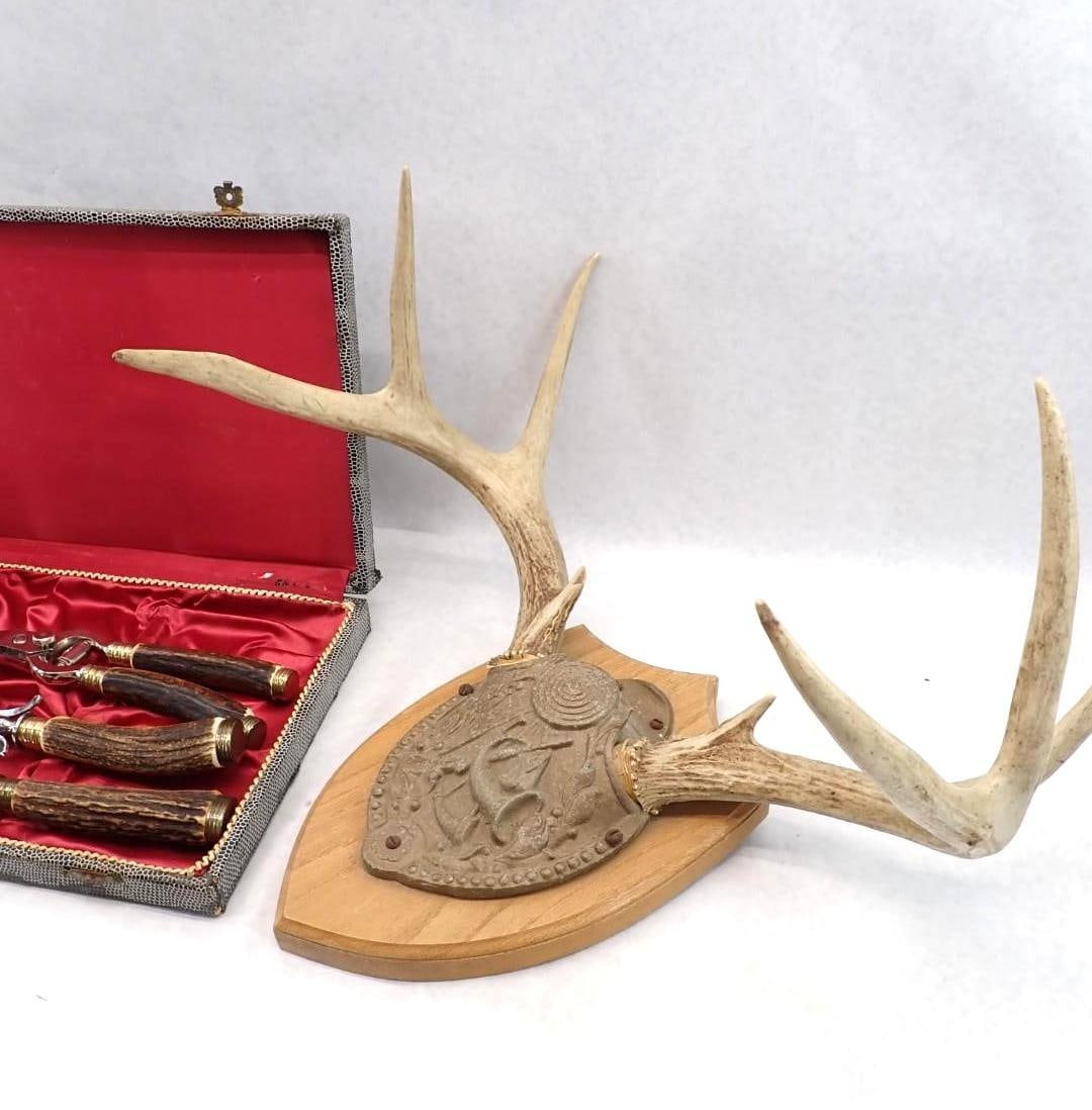 Antler Collection - 10