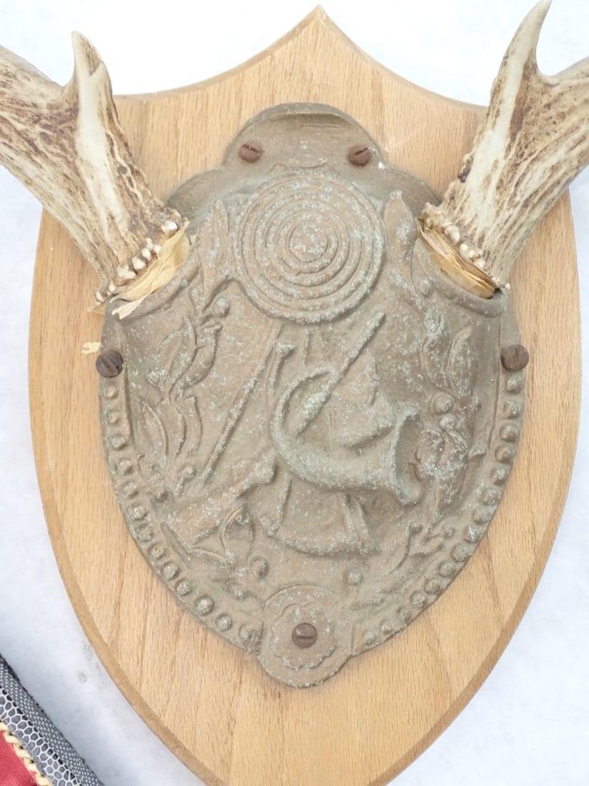 Antler Collection - 12