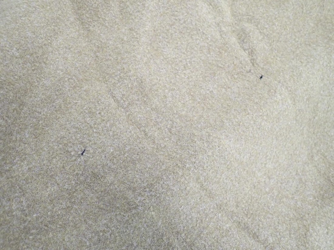 (4) Vintage Wool Blankets - 11