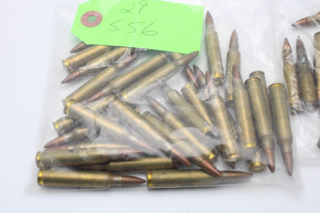 (58) .223 & 5.56 Cartridges - 2
