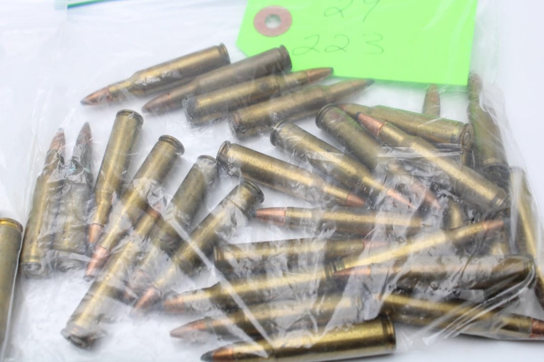 (58) .223 & 5.56 Cartridges - 3