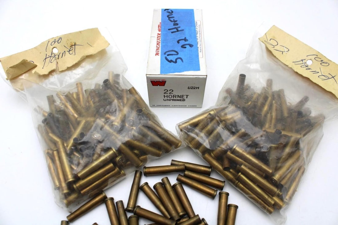 (293) .22 Hornet Brass - 2