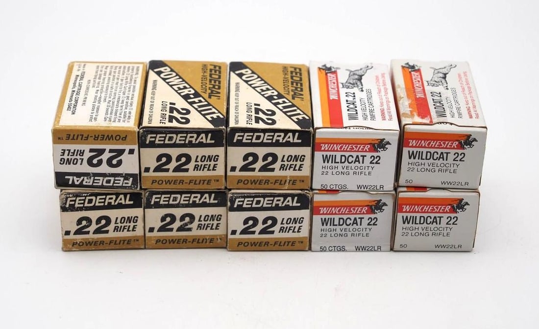 (10) Boxes of .22 LR Cartridges: Winchester & Federal
