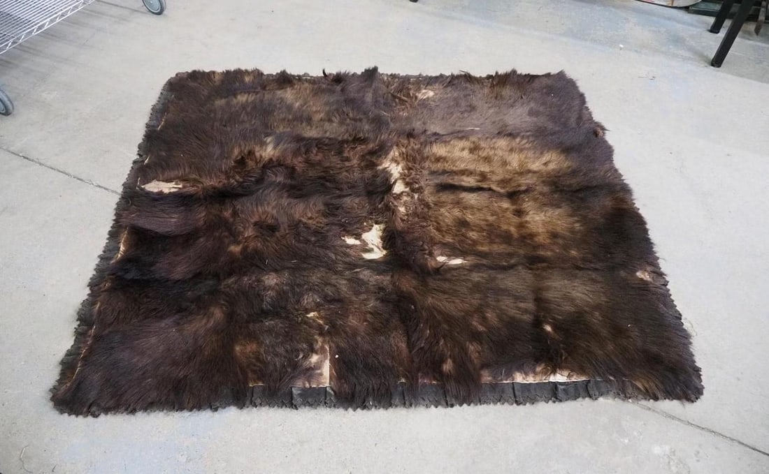 Buffalo Blanket: 56" x 66"; shedding hair and in rough condition