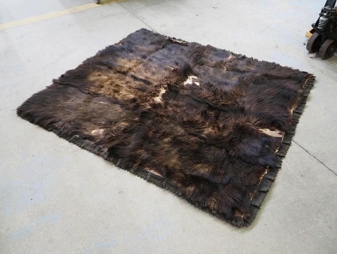 Buffalo Blanket - 2