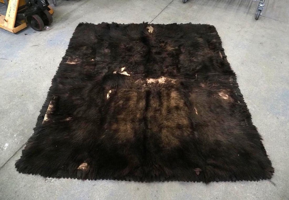 Buffalo Blanket - 5