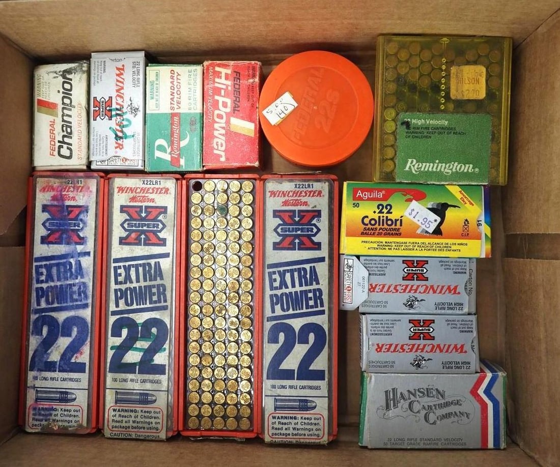 (800+/-) .22 LR Cartridges (1 of 3)