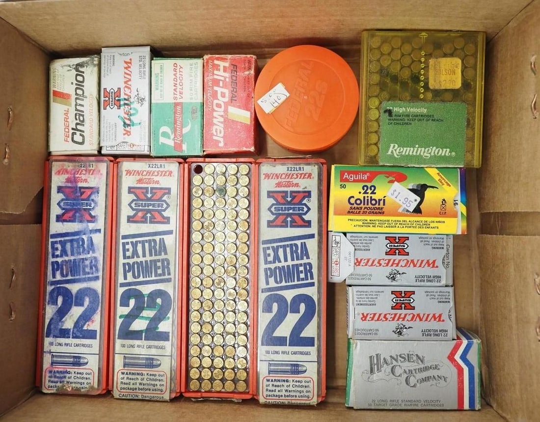 (800+/-) .22 LR Cartridges - 2