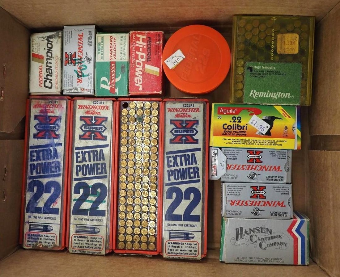 (800+/-) .22 LR Cartridges - 3