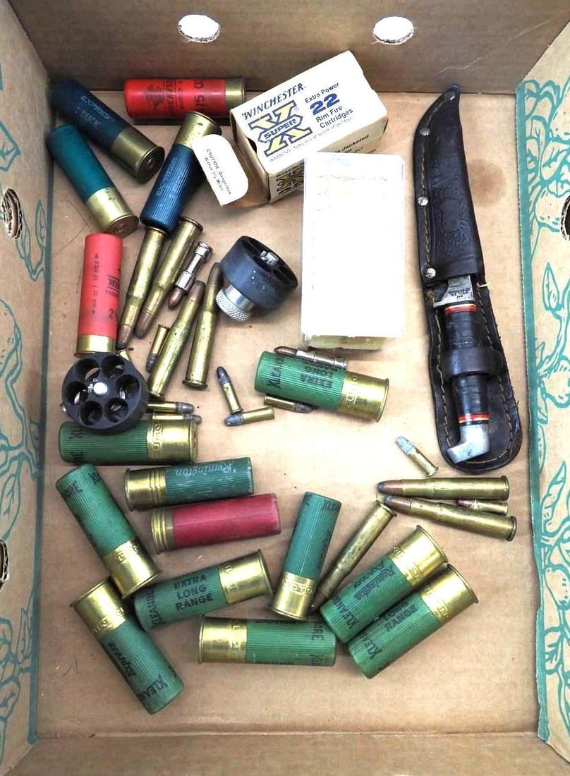 Mixed Cartridge Lot - 2