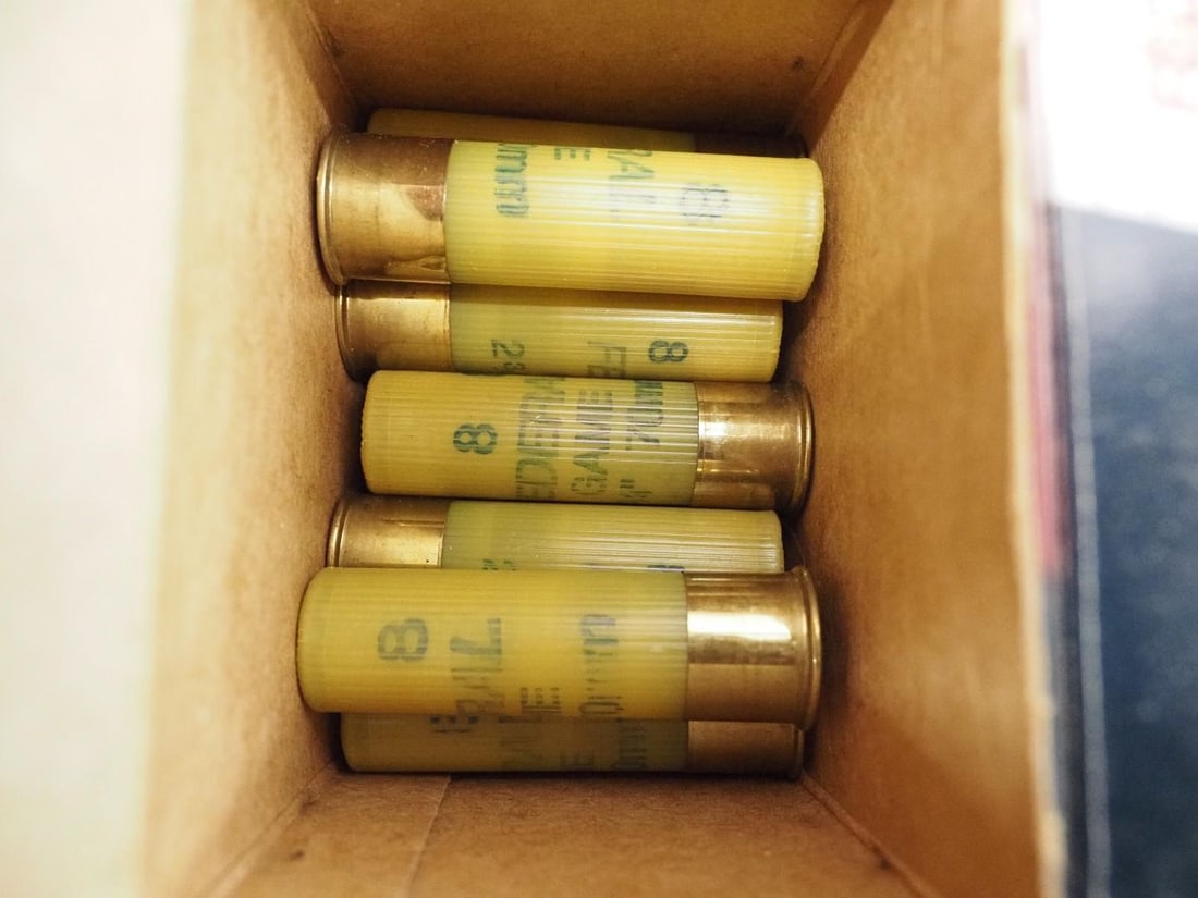 (195) 20 Ga. Shotgun Shells - 2