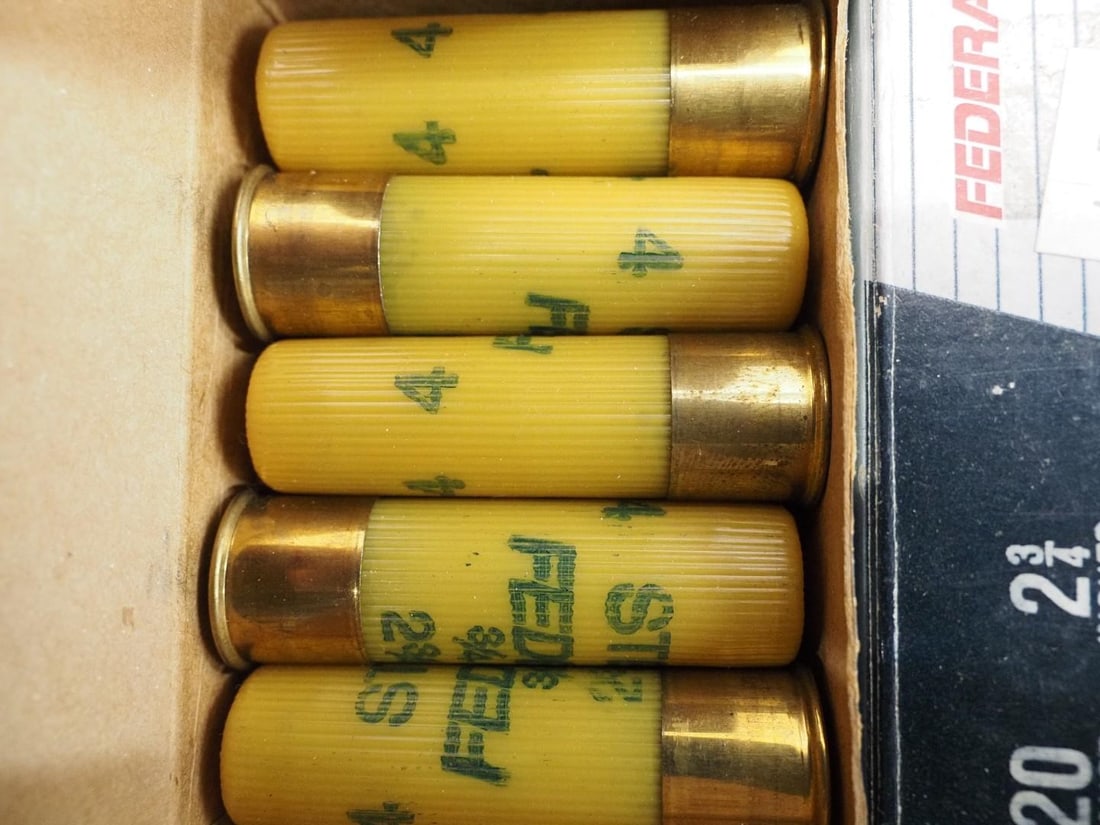 (195) 20 Ga. Shotgun Shells - 3